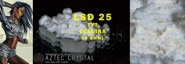 стаф Володарск