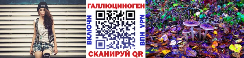 Купить где  Славск  Галлюциногенные грибы Magic Shrooms 